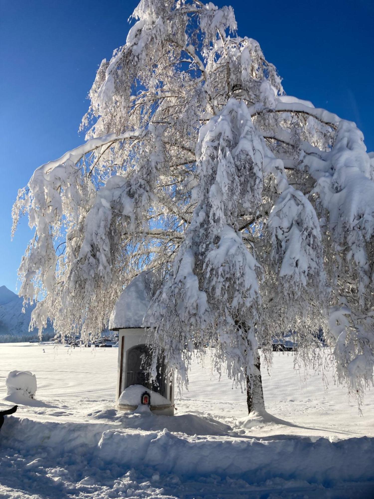 Landhaus Geierwally Villa Elbigenalp Eksteriør bilde